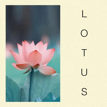 Lotus by prod. jay - album cover