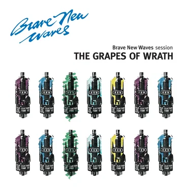 Brave New Waves Session by The Grapes of Wrath - album cover