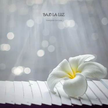 Bajo La Luz