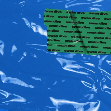 Swan Dive by Bay Faction - album cover