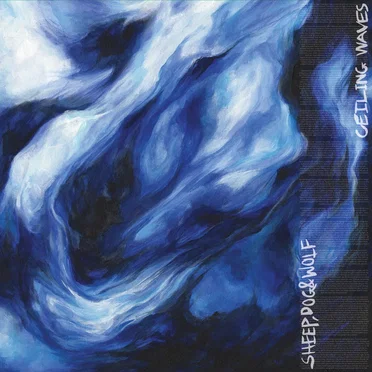 Ceiling Waves
