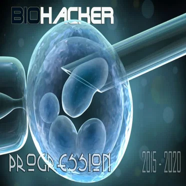 Progression 2015 - 2020