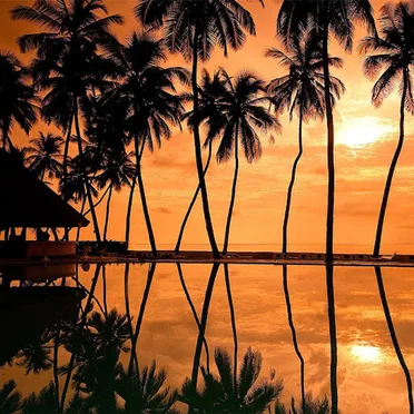 Throwaway (vlog mix)