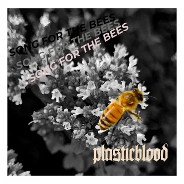 Song for the Bees