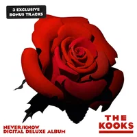 The Kooks artist image