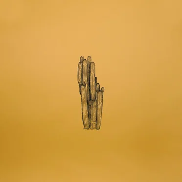 Now You Know EP