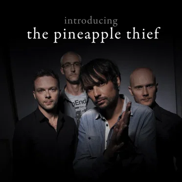 Introducing The Pineapple Thief