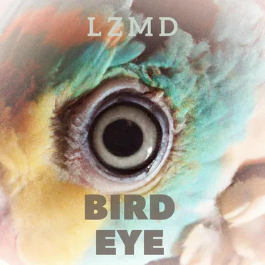 Bird Eye by LzmD - album cover
