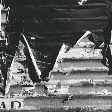 Buy Batteries and Shelter Pets