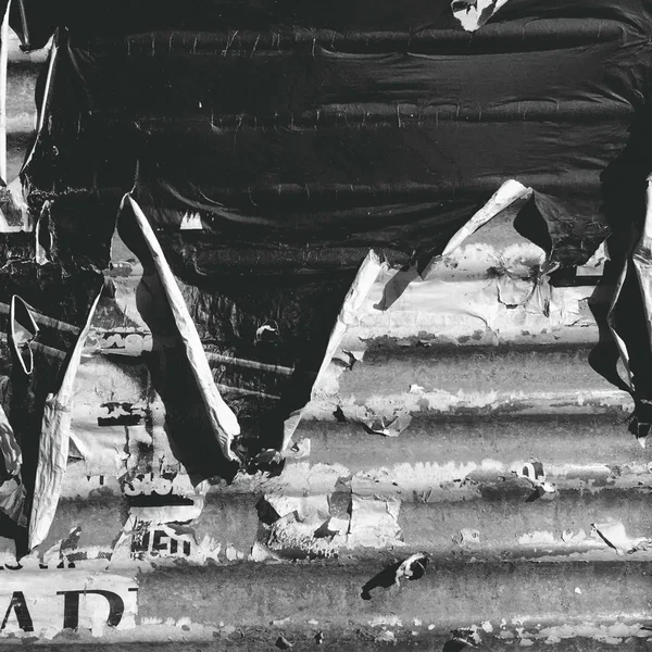 Buy Batteries and Shelter Pets