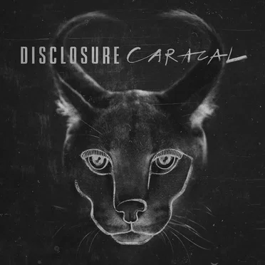 Caracal Album Mini Mix