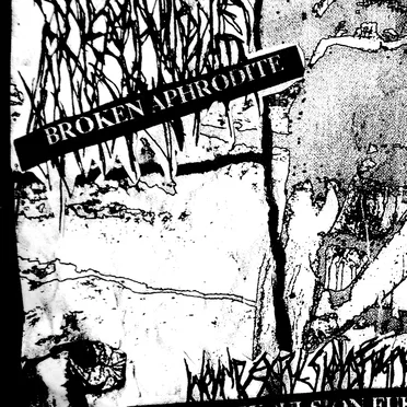 Wound Expulsion Fulfilling Ascendancy by Broken Aphrodite - album cover