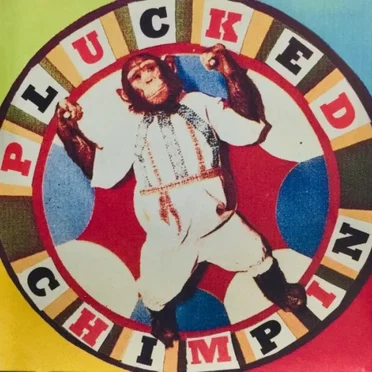 Chimpin