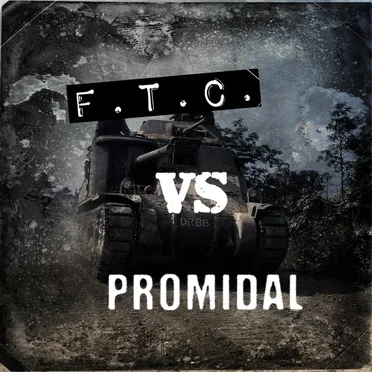 F.T.C. vs Promidal
