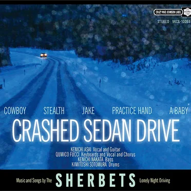 CRASHED SEDAN DRIVE