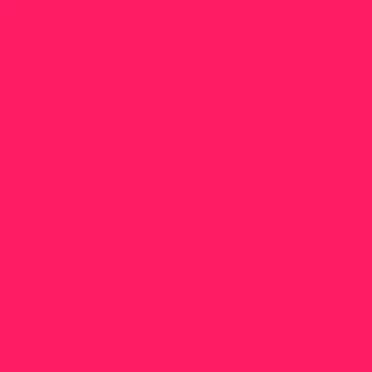 The Pink Album.