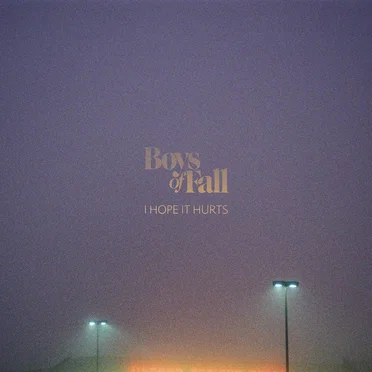I Hope It Hurts by Boys of Fall - album cover