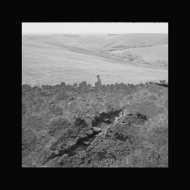 Skein by Ollie Turbitt - album cover