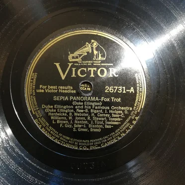 Sepia Panorama / Harlem Air-Shaft