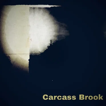 Carcass Brook by Carcass Brook - album cover