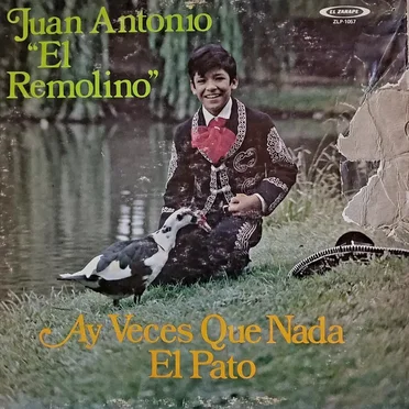 Ay veces que nada, el pato