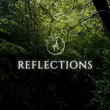 Reflections
