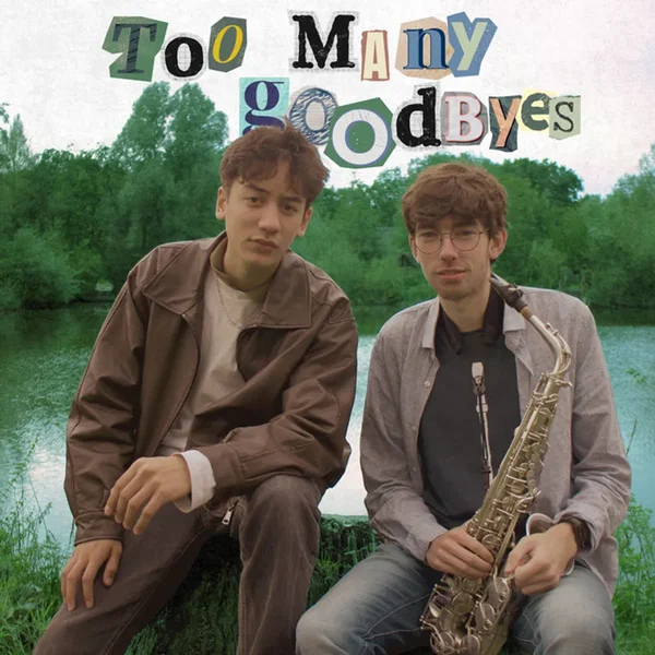 Too Many Goodbyes