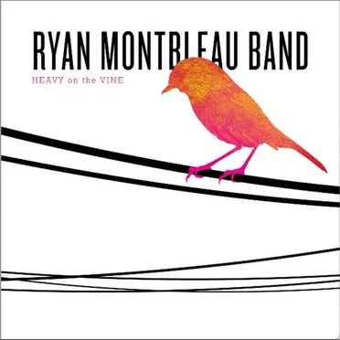 Heavy on the Vine by Ryan Montbleau Band - album cover