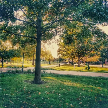 Wanderlust by Evergreen Avenue - album cover