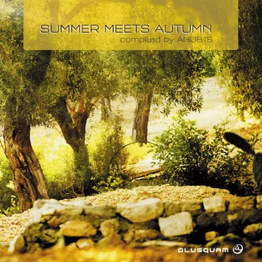 Summer Meets Autumn by Various Artists - album cover
