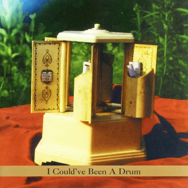 I Could've Been a Drum