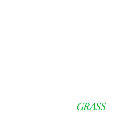 Silvy by GRASS - album cover