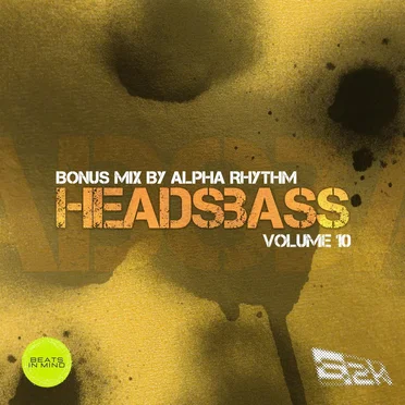 Headsbass, Volume 10 by Various Artists - album cover