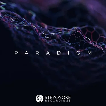 Steyoyoke Paradigm, Vol. 06 by Various Artists - album cover