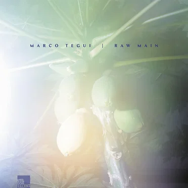 Marco Tegui | Raw Main by Raw Main - album cover