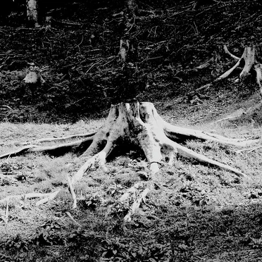 Rituals II