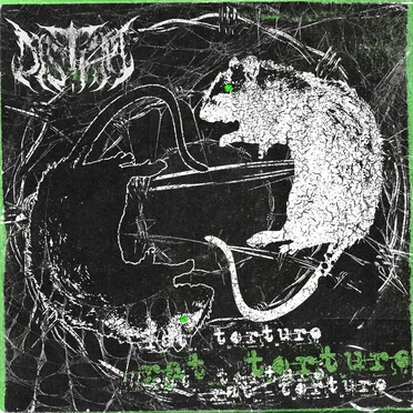 Rat Torture
