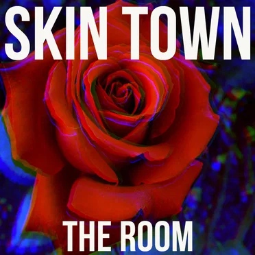 The Room by Skin Town - album cover