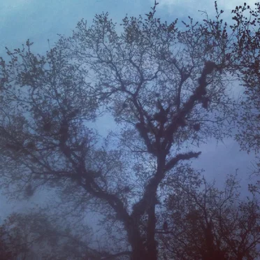 Hidden Insight / Hidden In Sight