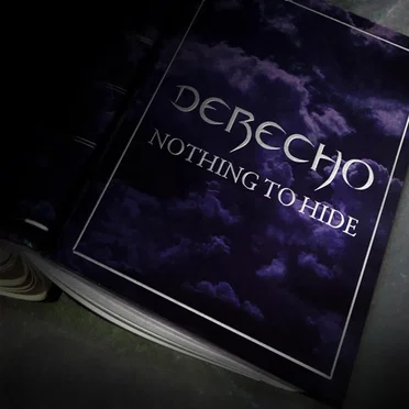 Nothing to Hide