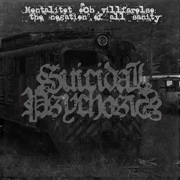 Mentalitet och Villfarelse: The Negation of All Sanity