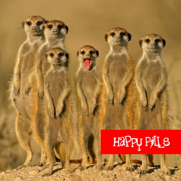 Happy Pills