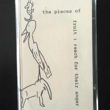 Reach for Their Anger by Pieces of Fruit - album cover
