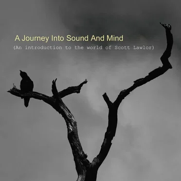 A Journey Into Sound and Mind: An Introduction to the World of Scott Lawlor