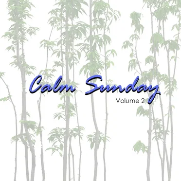Calm Sunday, Vol. 2 by Various Artists - album cover