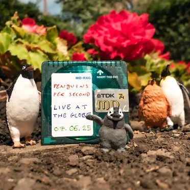 Live At The Globe by Penguins Per Second - album cover