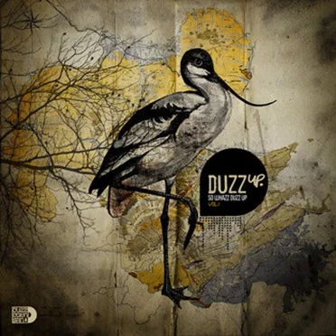 DuzzUp, Volume 1 by Various Artists - album cover