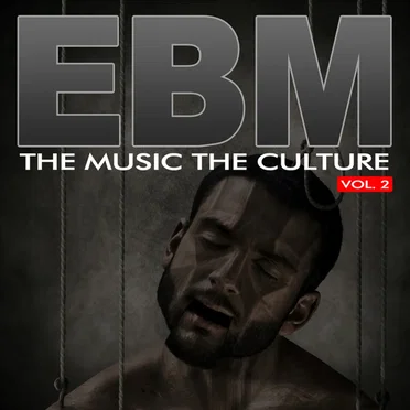 The Music The Culture: EBM Vol 2 by Various Artists - album cover
