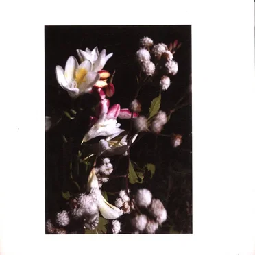 Fog on My Brain / Figure It Out