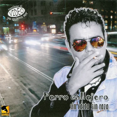 Sin Casta Sin Raza by Perro Callejero - album cover